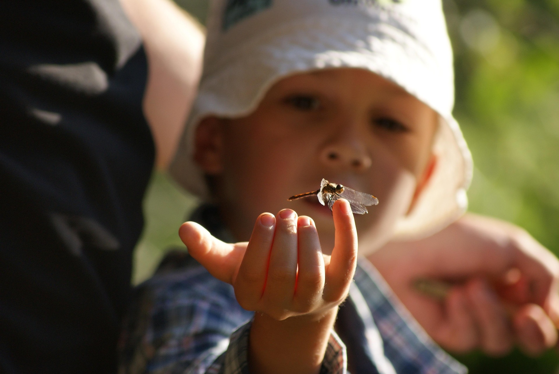 Kesenangan Tak Terduga di Setiap Sudut Kehidupan